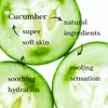 Tender Moisturising Cucumber Hand & Body Lotion (250ml) Organic by