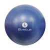 Sveltus Unisex Adult Educational Ball, Blue, 25 cm