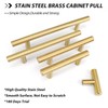 goldenwarm 1 Piece Gold Cabinet Drawer Pulls Kitchen Hardware LS201GD76