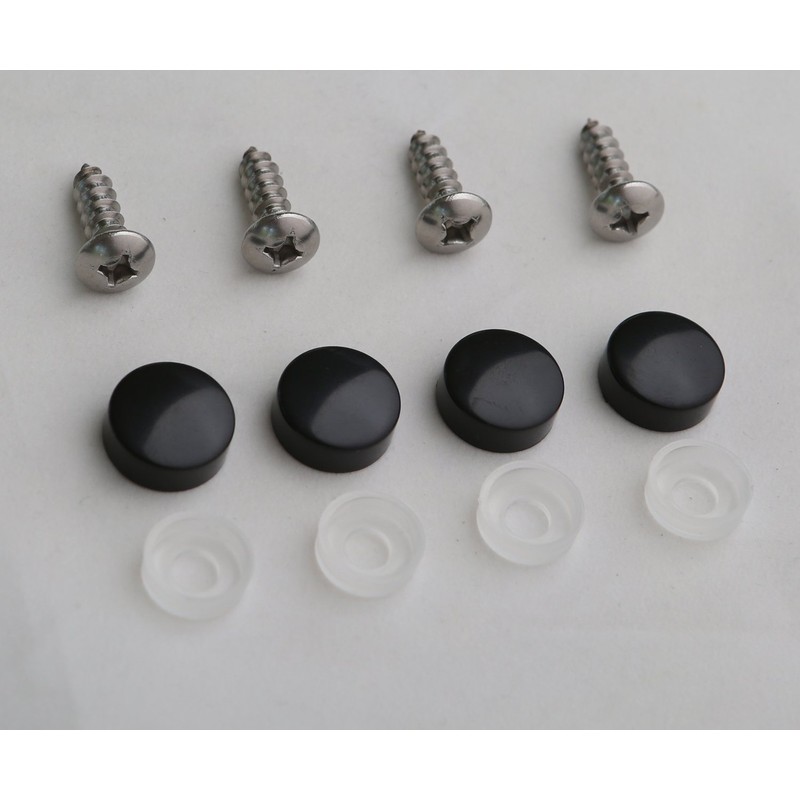 Stainless Steel License Plate Frame Self-Tapping Screws Fasteners ((4X) M6x20,