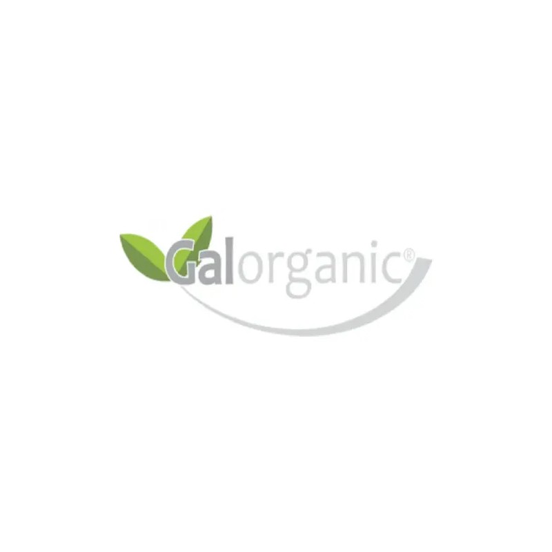 Colageno Hidrolizado Matcha Y Vitamina C 500g Galorganic