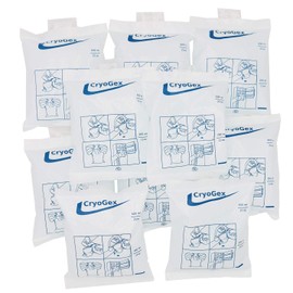 Pack of 10 Ice Cream Bags – Ultra Economical Pack