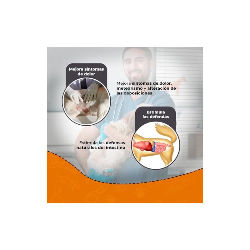 Fancy Pets MS Probiótico para Perros 90g