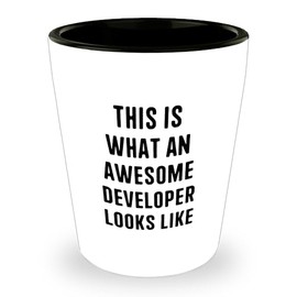 Funny Developer Quote Shot Glass, Gifts from Men to Developer Friends, Birthday Unique Gifts for Developer, What an Awesome Developer Looks Like, 1.5oz Ceramic, Microwave and Dishwasher Safe