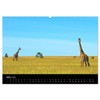 Giraffes - Lovely Giants of the African Savannah (Wall Calendar