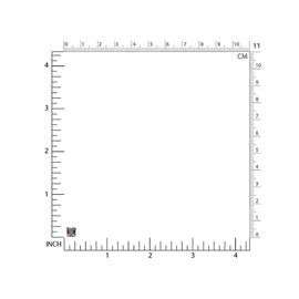 Silvershake 1.66ct. 5mm Square Shape Mystic Fire Topaz 925 Sterling Silver Stud Earrings