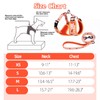 COOWONE Dog Leash and Harness Set, Soft Lightweight Mesh Step-in