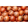 CEMEHA SEEDS - Seeds Giant Onion Chalcedony Non GMO Vegetable