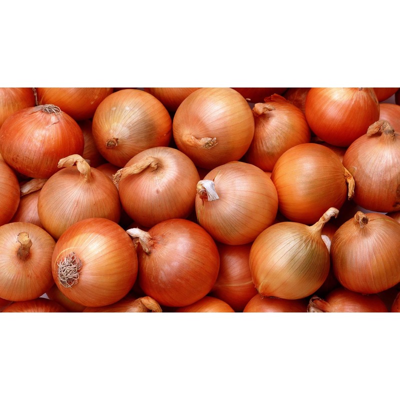 CEMEHA SEEDS - Seeds Giant Onion Chalcedony Non GMO Vegetable
