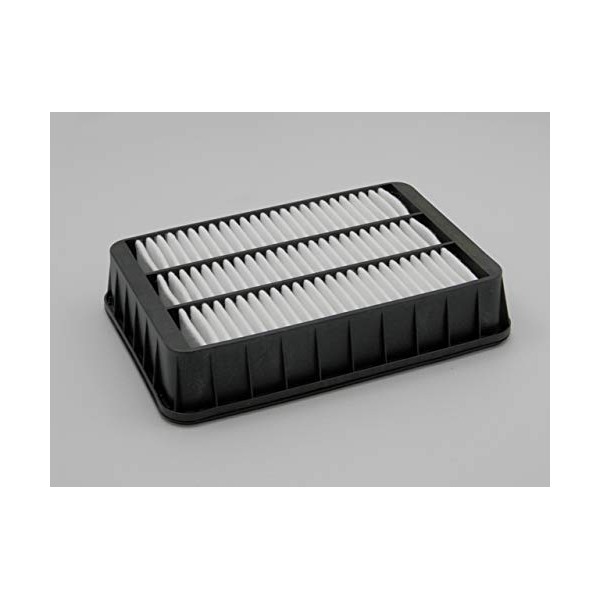 WINFIL FAF-MS-060 Air Filter