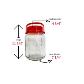 C&H Solutions 5L (Approximately 1.32 gallons.) Glass Jar With Lid Wide Mouth Plastic Pour Spout Lids Bulk-Dry Food Storage