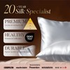 LULUSILK Queen Silk Pillow Cases 2 Pack with Hidden Zipper,
