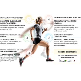 Immortalitea Gynostemma Tea USDA Organic Jiaogulan Loose Leaf Tea | Naturally Sweet Adaptogen | AMPK Metabolic Activator | Caffeine-Free Herbal Tea 3.52 oz