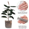 Yoption 6 Pack Plant Root Guard Baskets, Reusable Stainless Steel