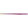 Roboworm Straight Tail Worm Bait (Morning Dawn Chartreuse, 6-Inch)