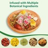 12 Tea Bags Chicory & Gardenia Herbal Tea - Gardenia,