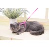 Icecode Cat Harness Kitten Lead Nylon Strap Belt Lead Adjustable