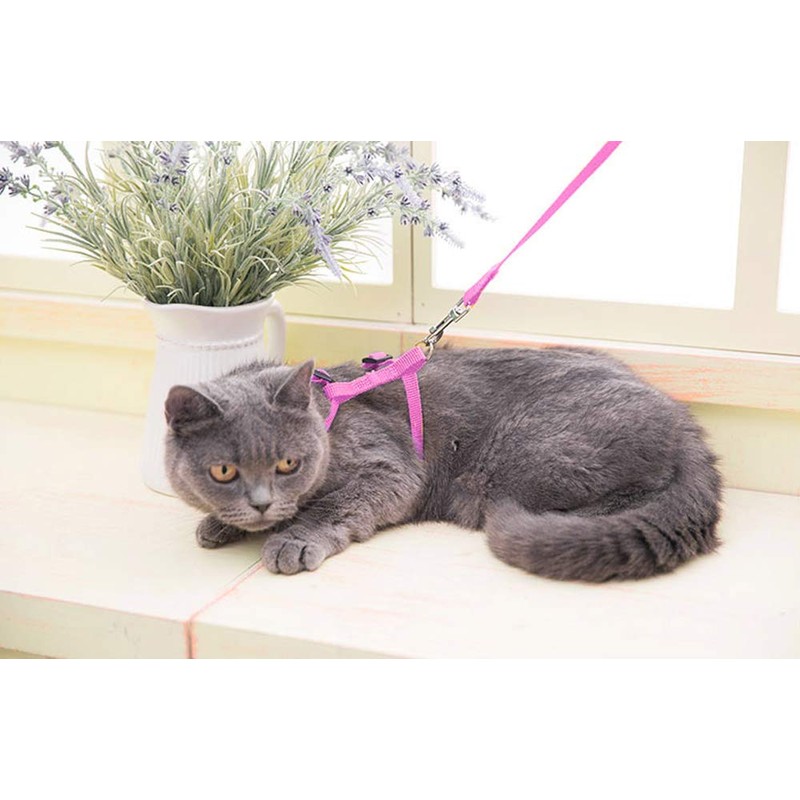 Icecode Cat Harness Kitten Lead Nylon Strap Belt Lead Adjustable