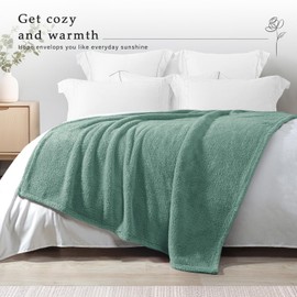 Exclusivo Mezcla Soft Fleece Throw Blanket for Couch, Super Soft Velvet Plush Bed Blanket, Fuzzy Cozy and Warm for Winter, 127x152 CM, Celadon