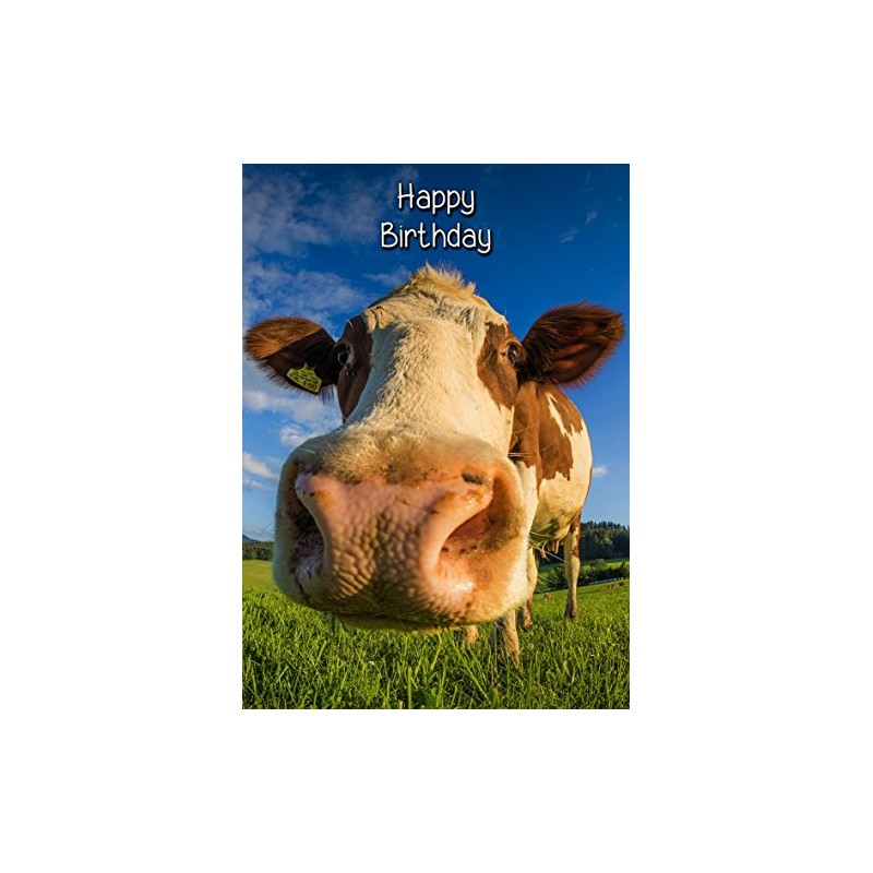 Cow Birthday Card