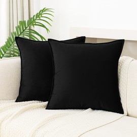 JIAHANNHA Velvet Black Throw Pillow Covers Pack of 2 Decorative Soft for Couch Sofa Bedroom Livingroom Car 20×20 Inches
