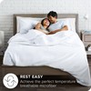Ivy Union Queen Size Sheet Set - Breathable & Cooling