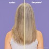 Matrix So Silver Shampoo| Shampoo matizador morado ideal para neutralizar