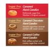Werthers Original Hard Candy (7.70 OZ (Pack of 1) |