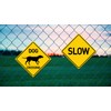 BTHUKO Dog Silhouette Crossing 12" X 12" Funny Novelty Road