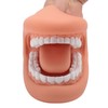Mouth Puppet with Tongue 28 Teeth Silicone Speech Therapy Demonstration
