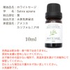 White Sage Essential Oil Aroma Oil 10ml Essential Oil 100%