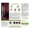 Naturtint 4M Mahogany Chestnut Permanent Hair Color (Pack of 1),