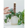 Plant Plastic Moss Pole Moss Supports Climbing Plant Poles Tortoise