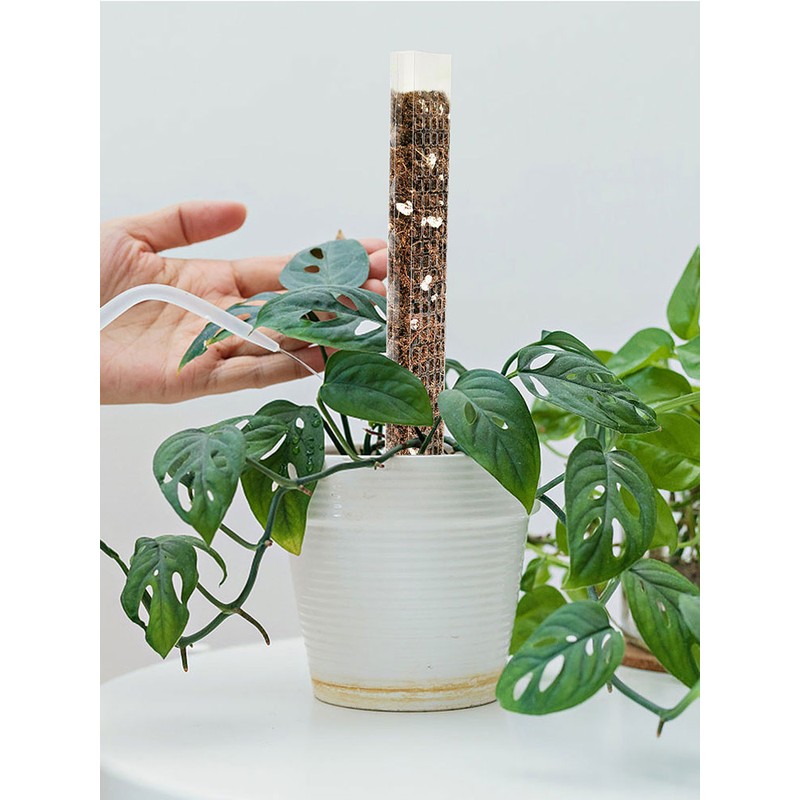 Plant Plastic Moss Pole Moss Supports Climbing Plant Poles Tortoise