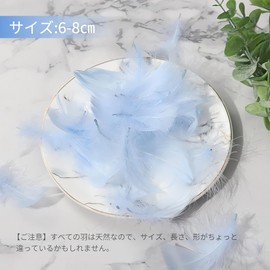 Samcos Feather Shower, 200 Pieces, Feathers, Plenty of Feathers, Feather Shower, DIY Decorative Accessories, Craft Materials, Decorative Feathers for Events, Weddings, Parties, Performances, Birthdays