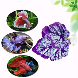 CHSYLFDC 2PCS Betta Fish Leaf Pad with Suction Cup Hammock Simulating Habitat Realistic Resting Fish Rest Bed Aquariums Decor Hammock Simulating Habitat, Purple