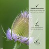 Wildcraft Herbs Wildcraft Herbs Teasel Herb Tincture Extract 4 oz