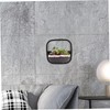 Outanaya Wall Hanging Succulent Planter Modern Hydroponic Vase for Indoor