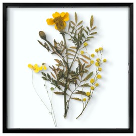 Frametory, Floating Picture Frame 12x12 - Black Aluminum Metal Photo Frame - Real Glass of Front - for Wall Mount Display