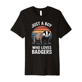 Just a Boy Who Loves Badgers Vintage Sunset Boys Kids Badger Premium T-Shirt