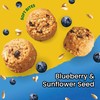 belVita Energy Snack Bites, Blueberry and Sunflower Seed, 5 oz