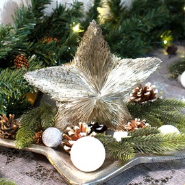 COM-FOUR® 2 x Decorative Star 3D Plastic – Metallic Shiny Decorative Star – Classic Decoration for Winter and Christmas – Approx. 20 cm (2 Pieces Champagne Colour)
