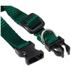 LupinePet Basics 1/2" Green 8-12" Adjustable Collar for Small Dogs