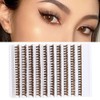 200pcs 40D Brown Cluster Eyelashes Volume Eyelash Extensions, Natural and