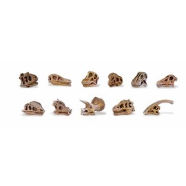 Safari Ltd. Dino Skulls Bulk Bag - Educational Set of Dinosaur Toy Skulls - 48 Piece Set for Boys, Girls & Kids Age 3+