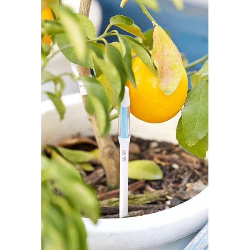 IPPINKA Sustee Aquameter - Bundle of 24 - House Plant