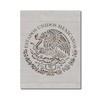 Mexican Flag Stencil Template Reusable for Painting on Walls, Wood,