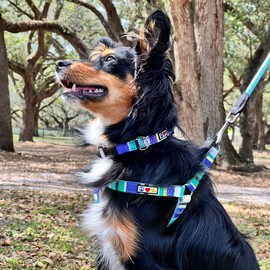Pawtitas Multicolor Step-in Dog Harness – Adjustable No-Pull Vest for Puppies to Seniors, Safe & Comfortable XS Pink/Blue/Teal/Green