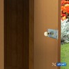 XFORT® Polished Brass Victorian Rim Knob, Sturdy Solid Brass Rim