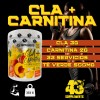 Suplemento Cla + Carnitina 333gr 33 Servicios 43 Supplements